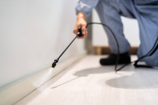 Licensed Mosquito Control service in Holdenville, OK - Nex Pest Control