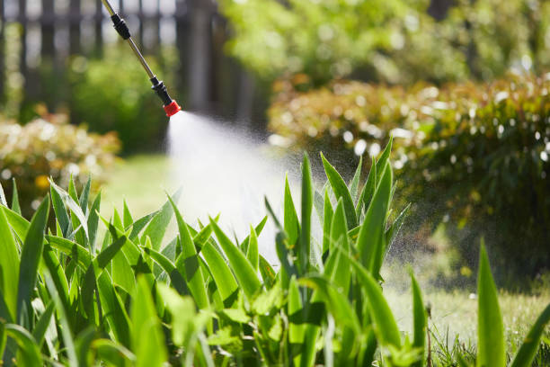 24/7 Emergency Mosquito Control experts in Holdenville, OK