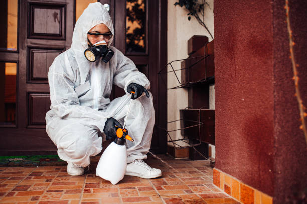 Reliable Mosquito Control contractor in Holdenville, OK by Nex Pest Control