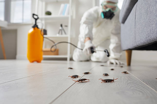 Trusted Emergency Pest Control service in Holdenville, OK - Nex Pest Control